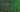 LiDAR in the Leaf Canopy: Getting Clean Data in Dense Forests