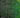 LiDAR in the Leaf Canopy: Getting Clean Data in Dense Forests