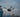 How Thermal Drones Support Night Operations in Law Enforcement