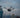 How Thermal Drones Support Night Operations in Law Enforcement