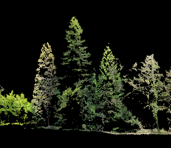 Lidar360 Tree Segmentation Case Study in Port Moody, British Columbia