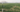 Wheat Farming: Harnessing Drones for Water Stress Monitoring