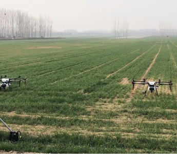 Wheat Farming: Harnessing Drones for Water Stress Monitoring