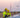 Beyond Reach: Drone-Based Inspections for Hard-to-Access Infrastructure