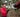 Cost-Effective Drone Tools for Search and Rescue Teams