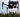 Pest management and research with drones