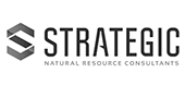 Strategic